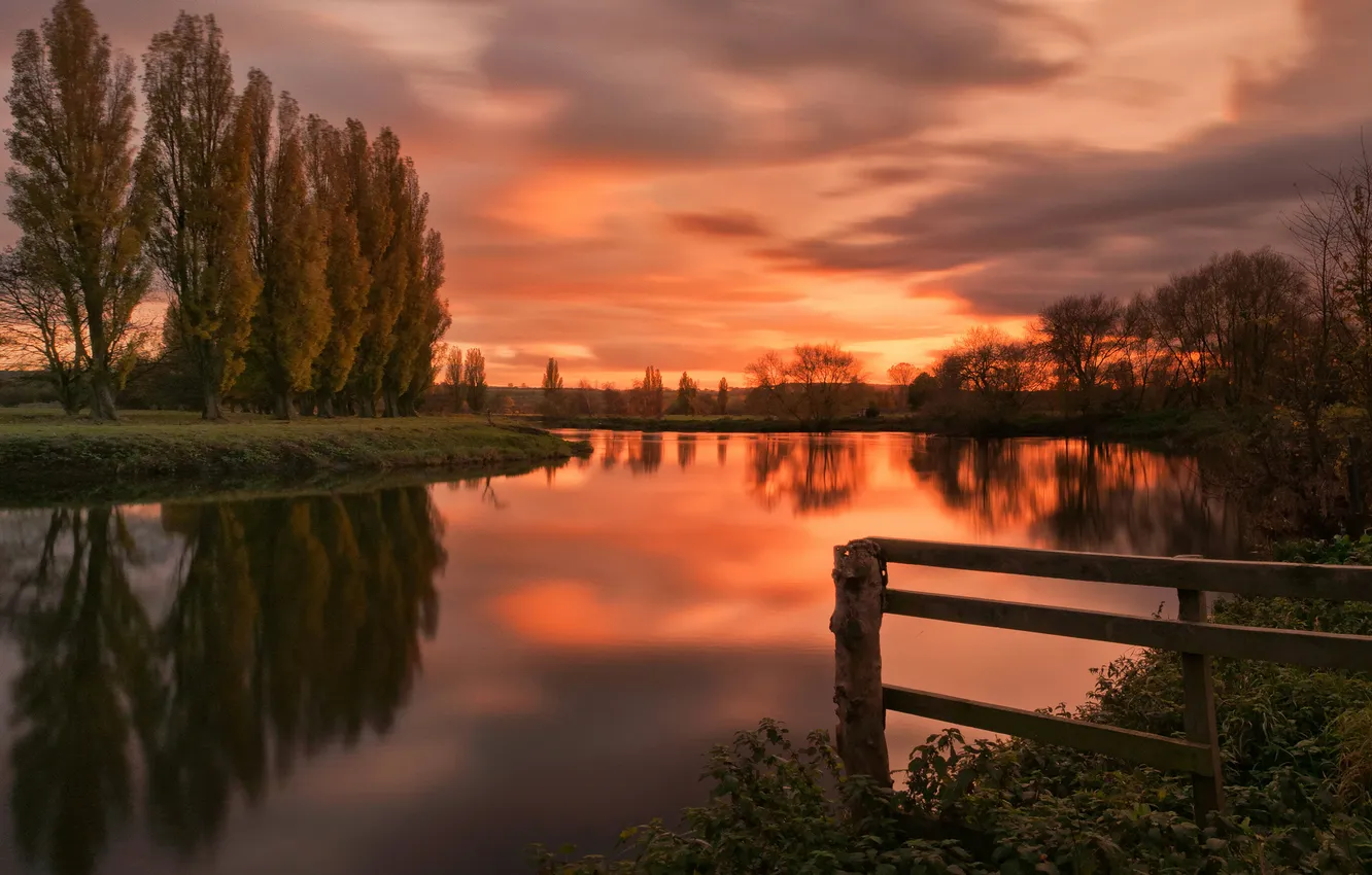 Photo wallpaper trees, sunset, nature, river