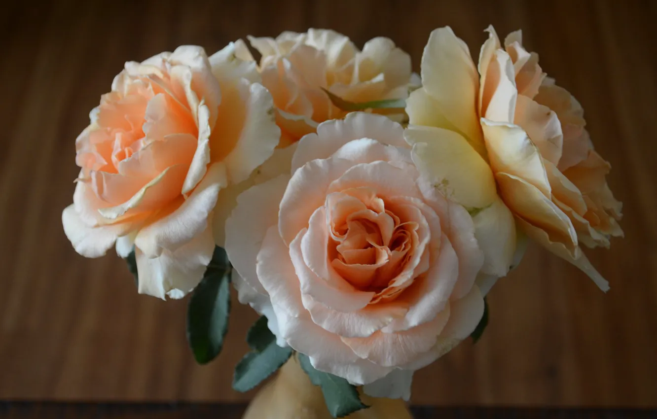 Photo wallpaper macro, background, roses, bouquet, petals