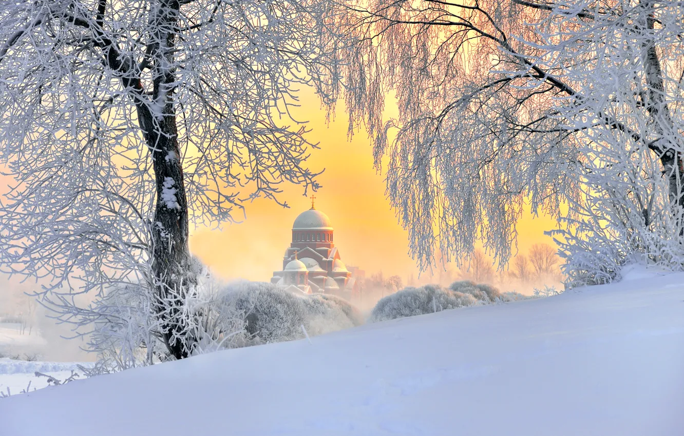 Photo wallpaper winter, Saint Petersburg, temple, Russia, fluffy snow, the January sky
