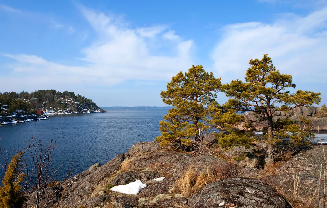 Photo wallpaper sea, the sky, clouds, trees, rock, Sweden