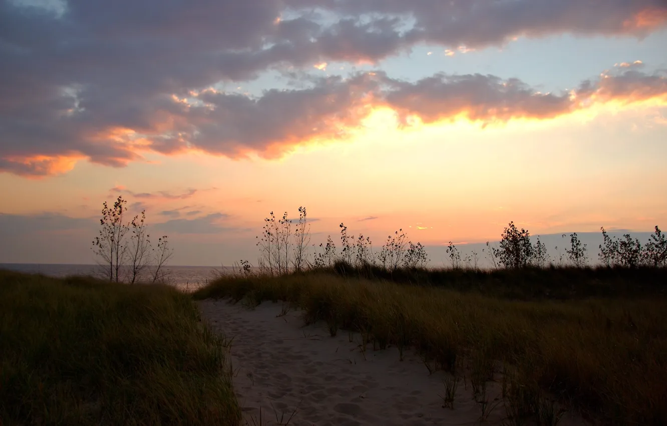 Photo wallpaper sand, grass, clouds, shore, trail