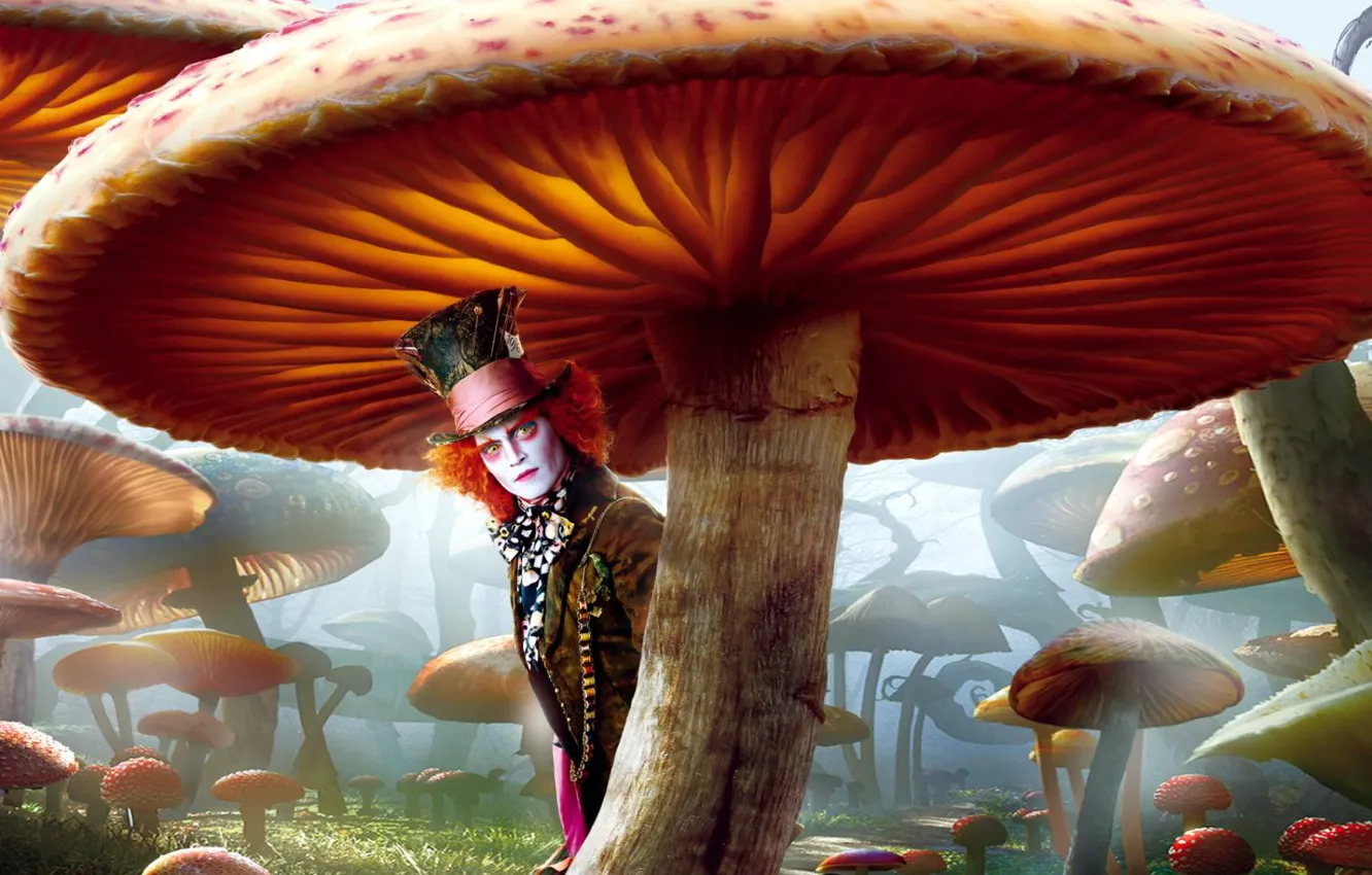 Photo wallpaper mushrooms, Alice in Wonderland, Hatter