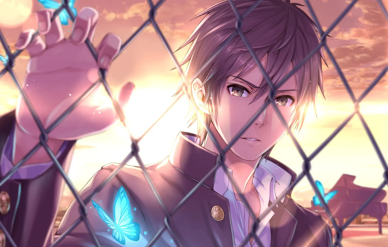 Photo wallpaper mesh, butterfly, the fence, grille, piano, art, guy, nidy-2d-