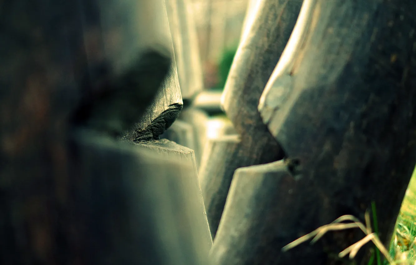 Photo wallpaper focus, a number, log, frame, wood