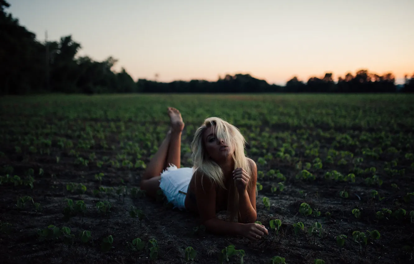 Photo wallpaper girl, sunset, blonde