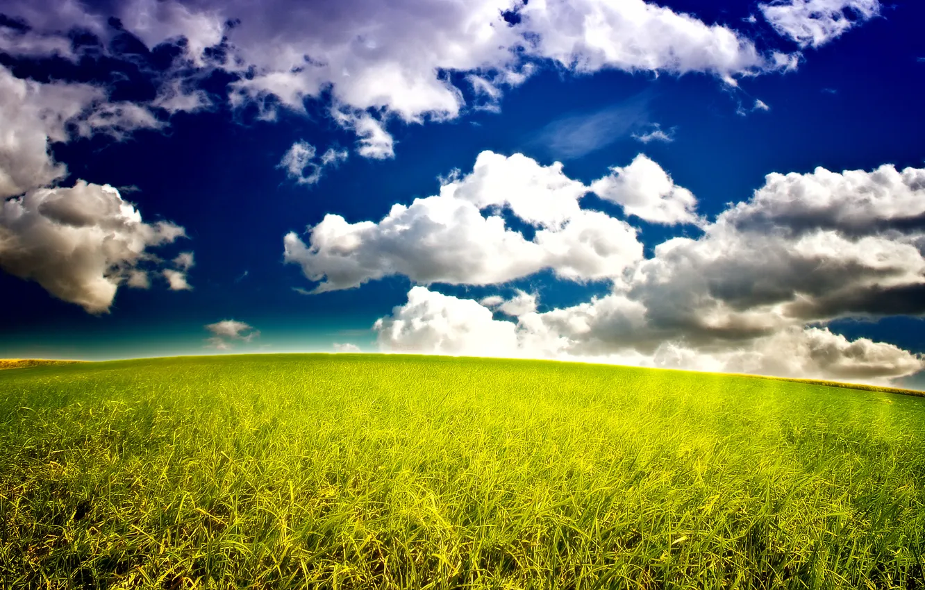 Photo wallpaper the sky, grass, clouds, nature, horizon