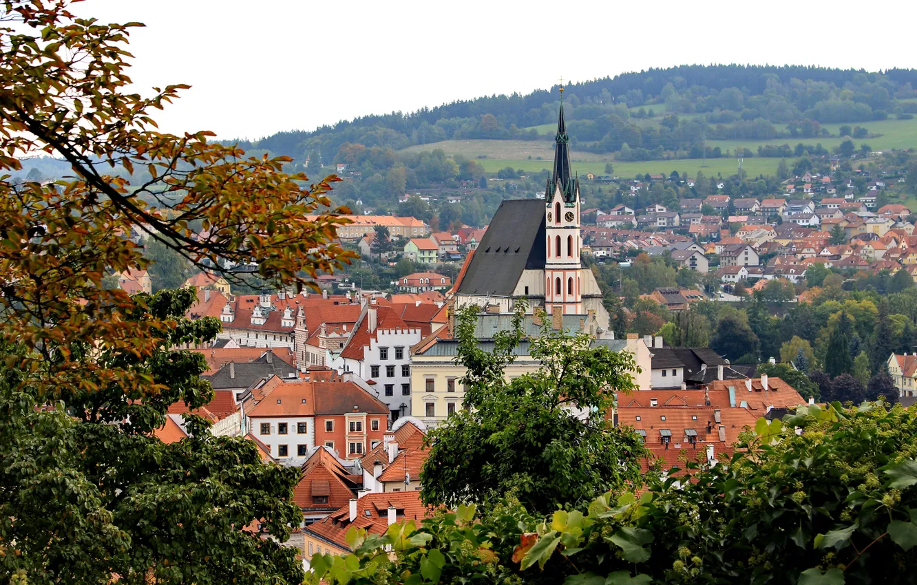Photo wallpaper trees, branches, foliage, home, roof, Czech Republic, town, Cesky Krumlov
