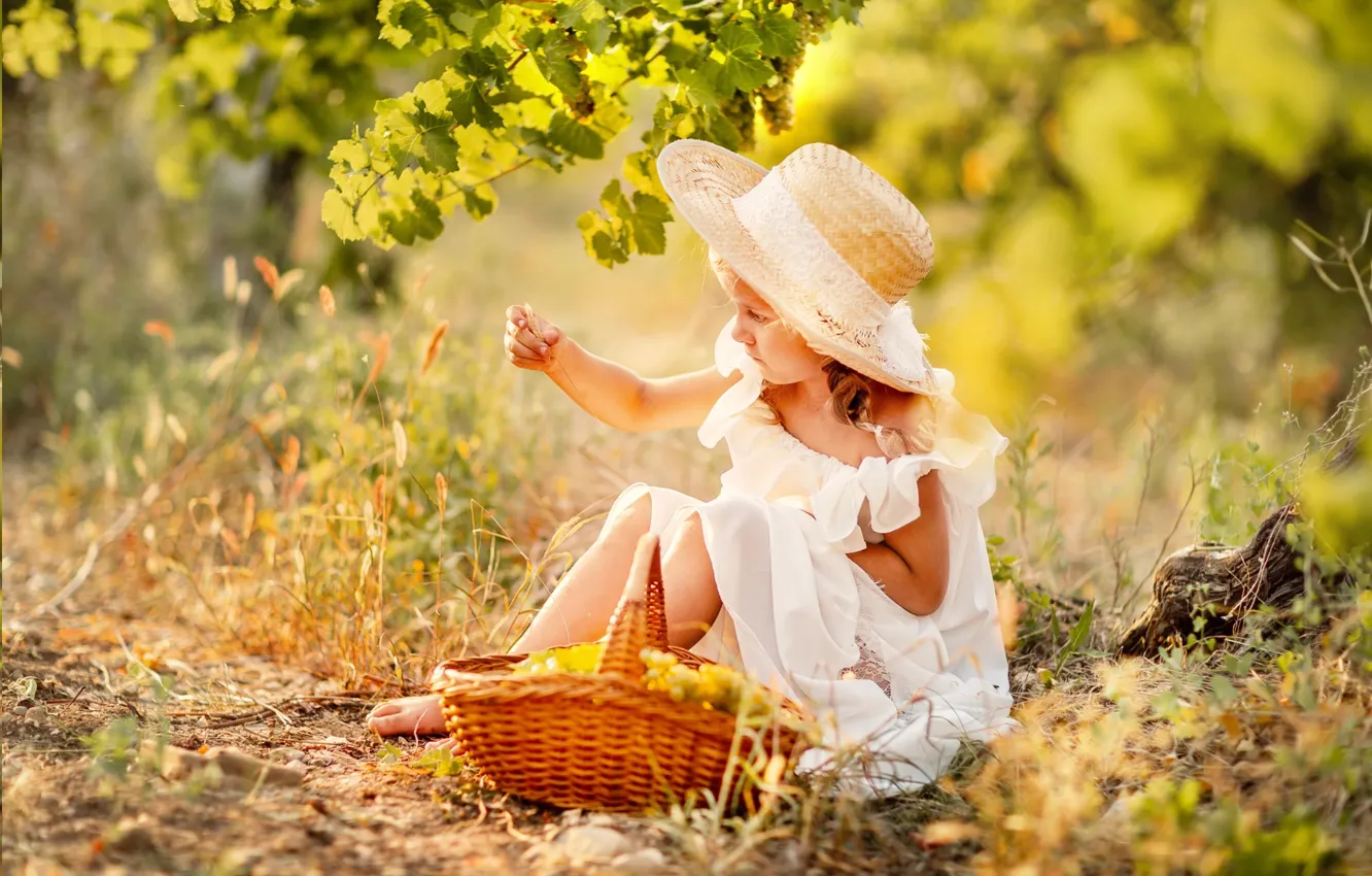 Photo wallpaper summer, girl, hat, basket