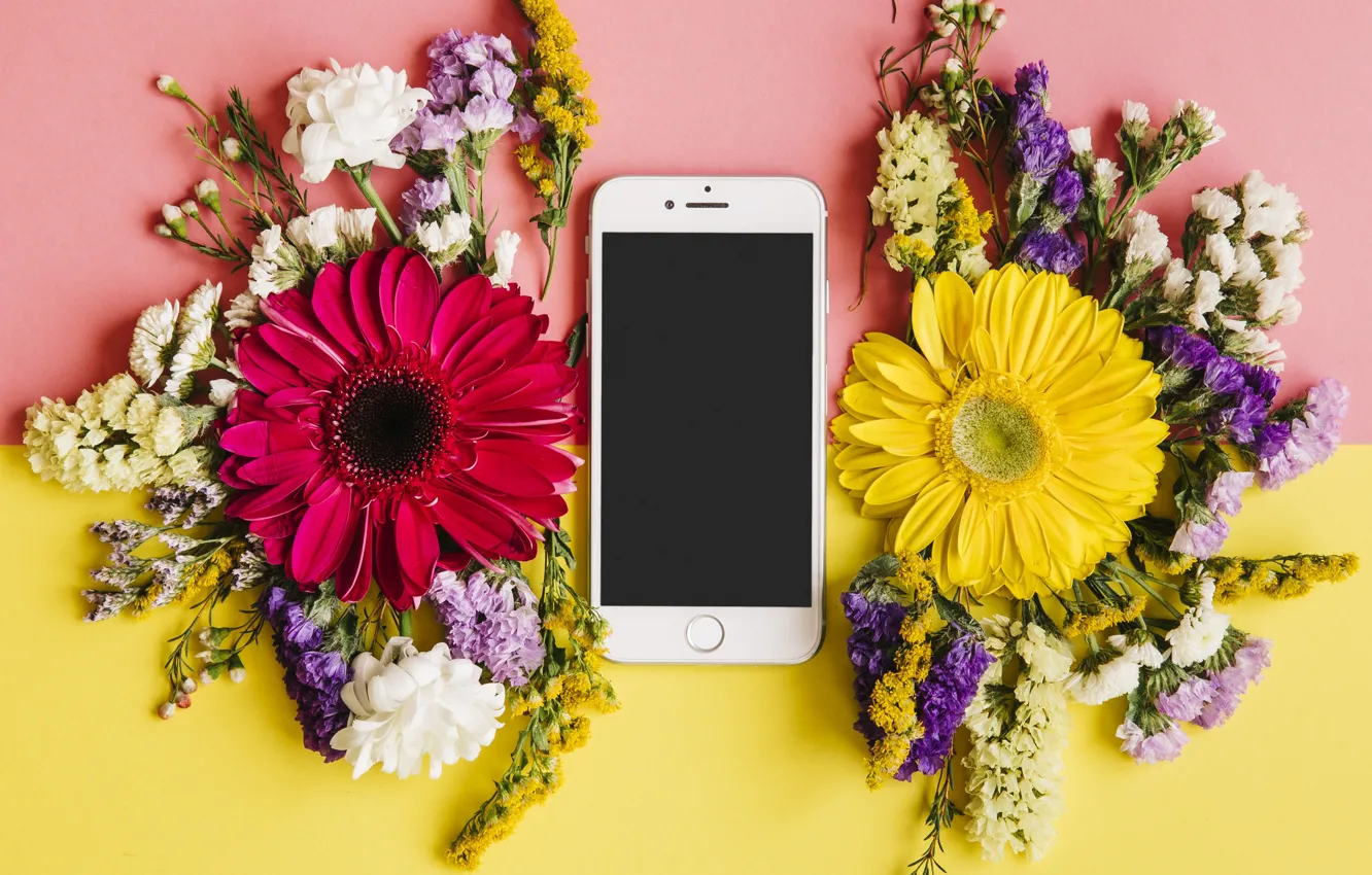 Photo wallpaper flowers, spring, colorful, chrysanthemum, flowers, smartphone, spring, bright
