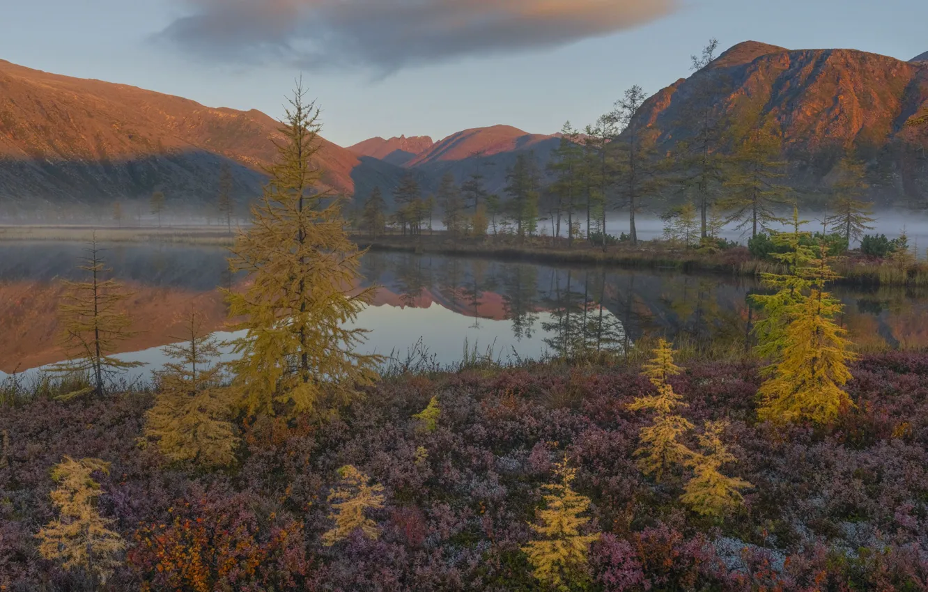 Photo wallpaper autumn, forest, mountains, shore, the bushes, pond, larch