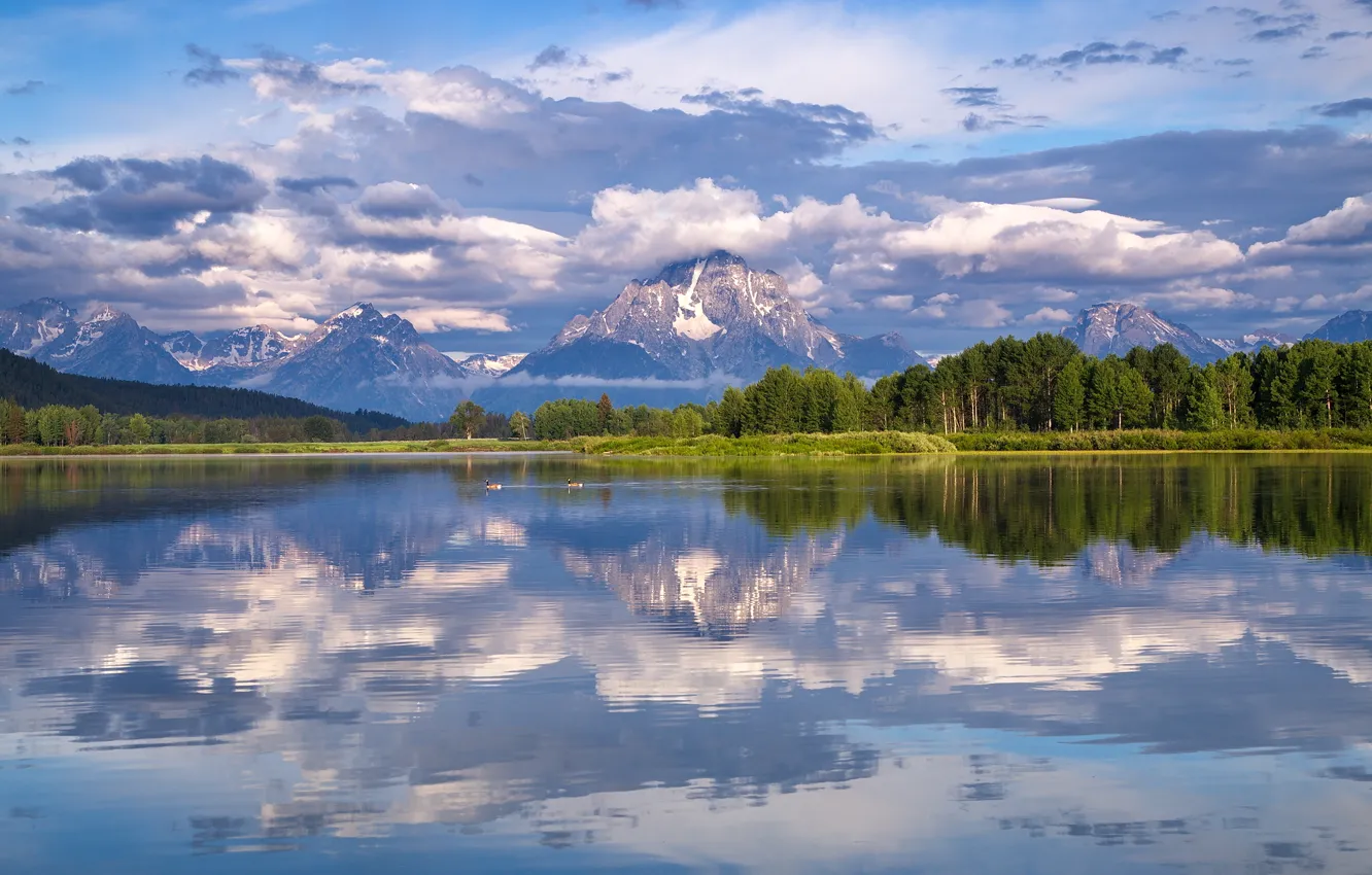 Photo wallpaper forest, clouds, reflection, Wyoming, Wyoming, Grand Teton, Grand Teton National Park, Mount Moran