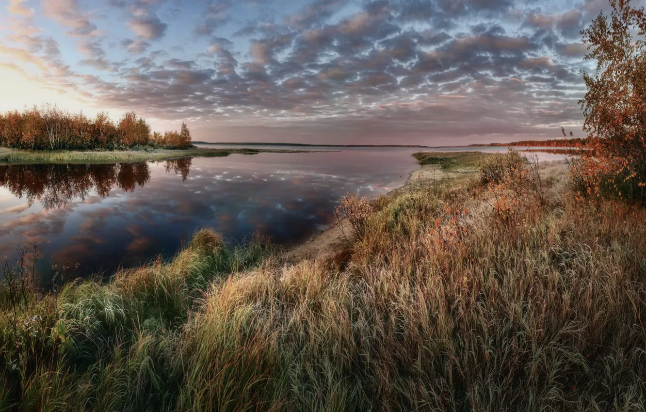 Photo wallpaper frost, autumn, forest, grass, landscape, nature, river, shore