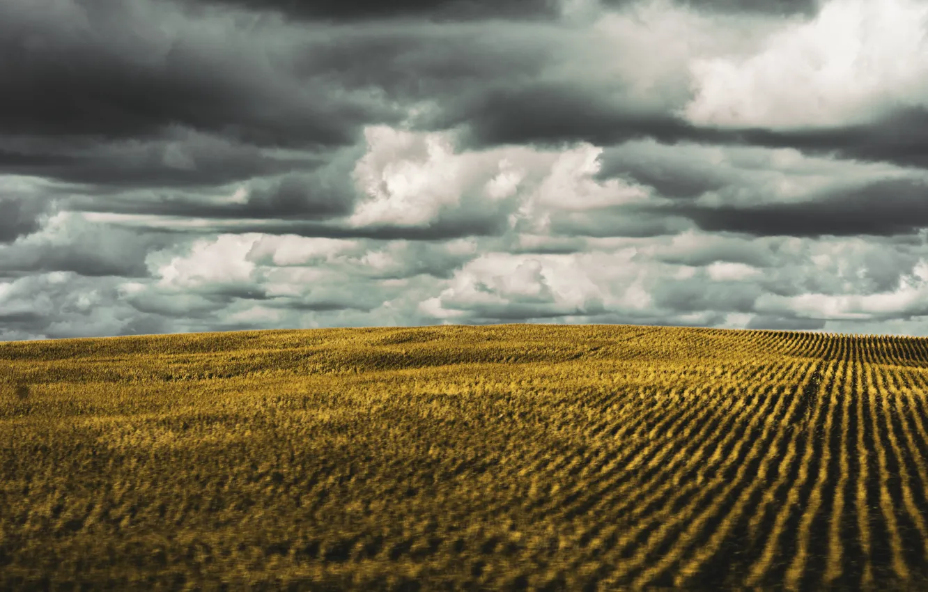 Photo wallpaper space, beauty, Sanaan Mazhar, clouds, beauty, field, field, clouds