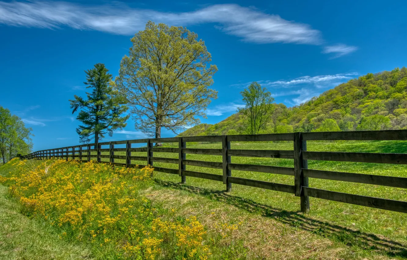 Photo wallpaper trees, the fence, meadow, North Carolina, North Carolina, Transylvania, Transylvania