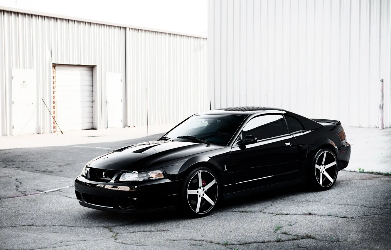 Photo wallpaper black, Mustang, Ford, Shelby, Mustang, hangar, Cobra, Ford