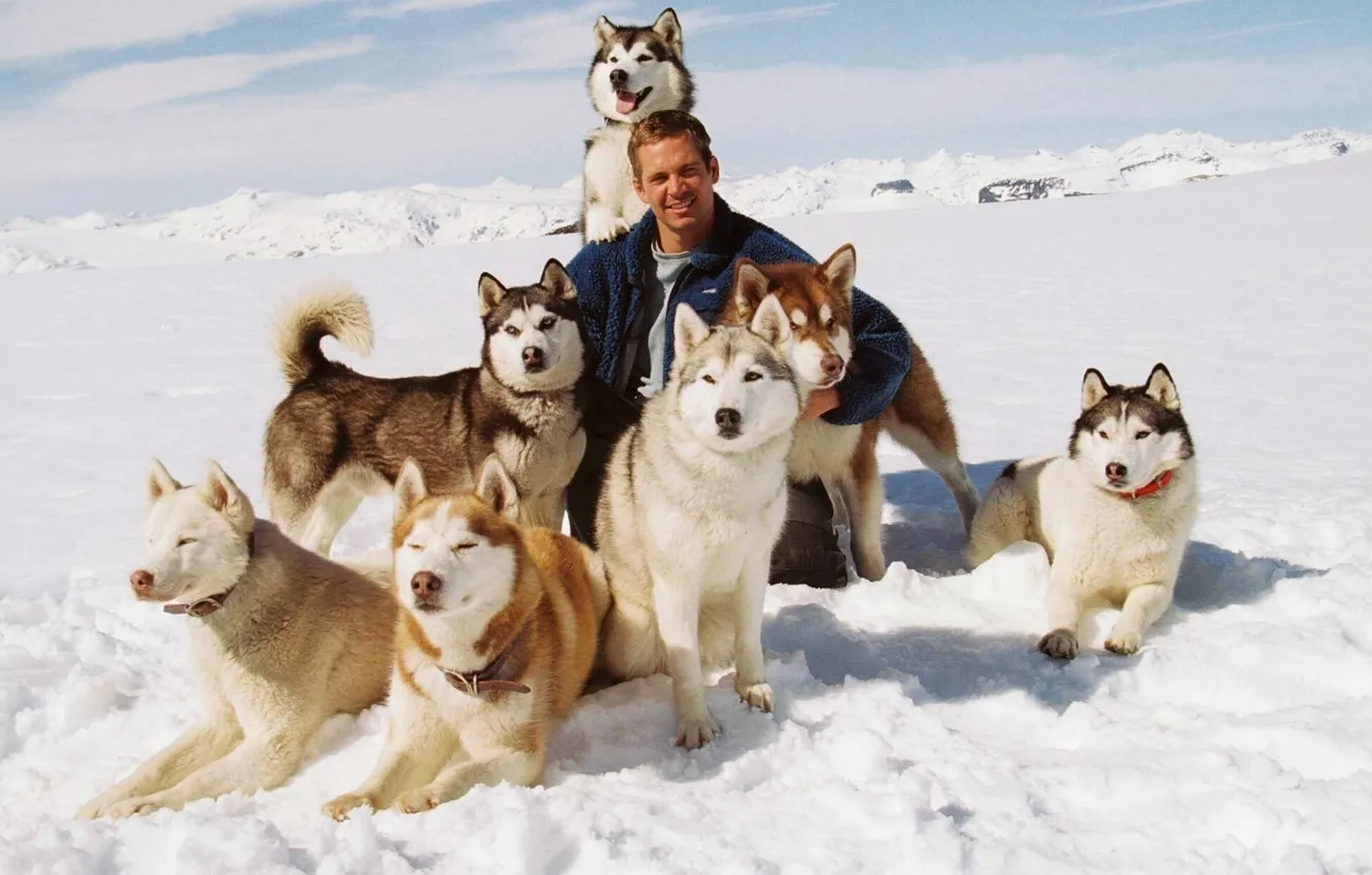 Photo wallpaper Paul Walker, Jack, Miami, Tank, Shorty, Dewey, Eight Below, Shadow