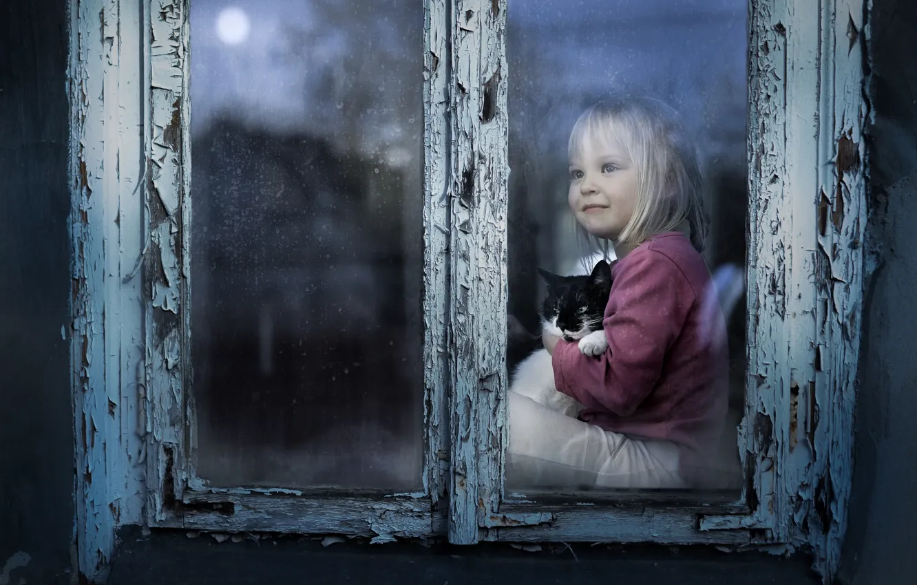 Photo wallpaper cat, mood, window, girl, kitty