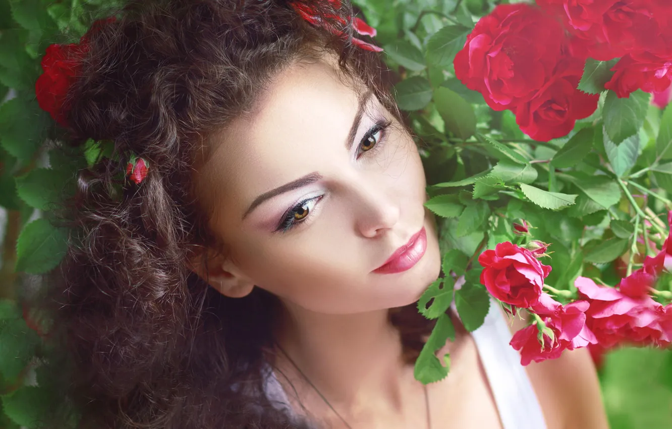 Photo wallpaper summer, leaves, girl, flowers, roses, brunette, curls, the bushes