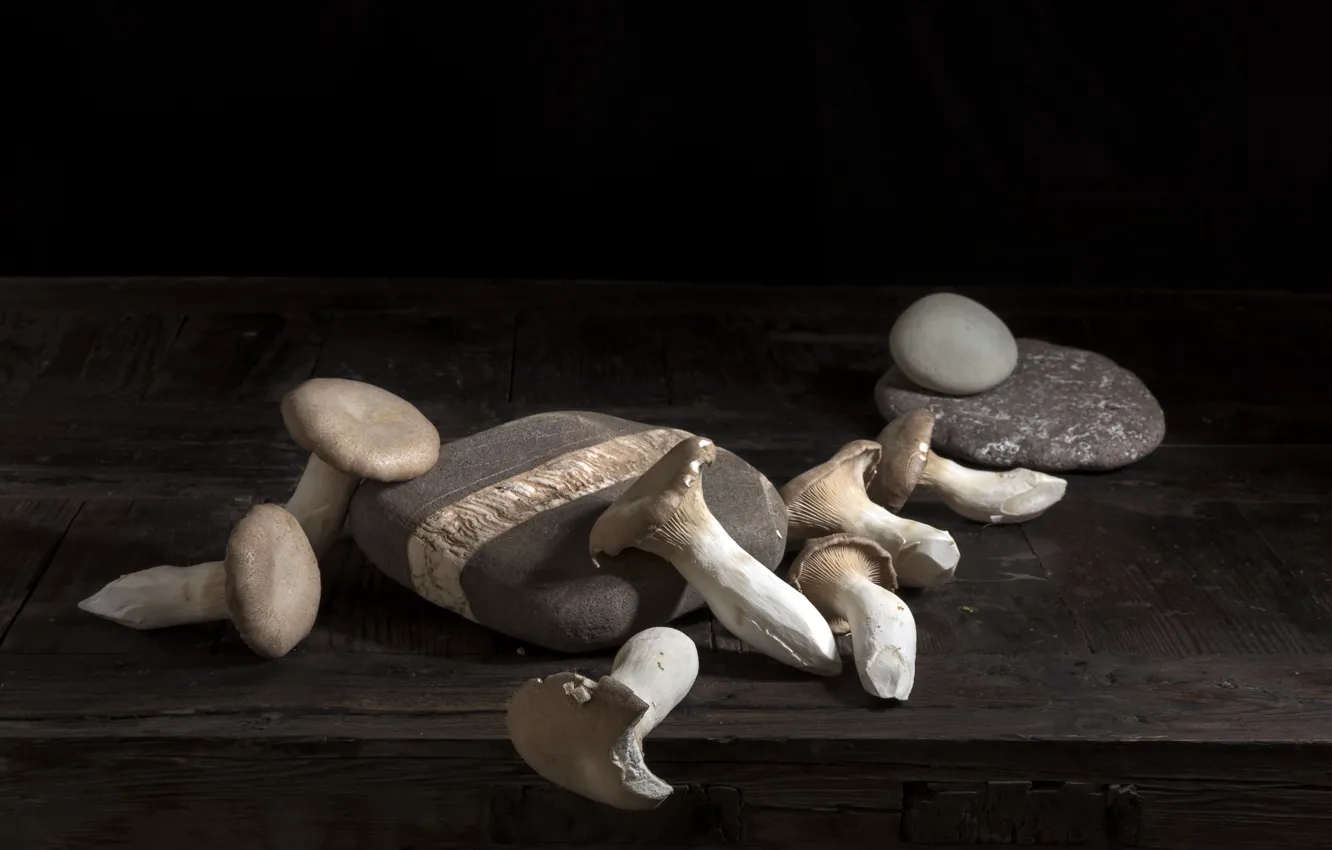 Photo wallpaper stones, mushrooms, food
