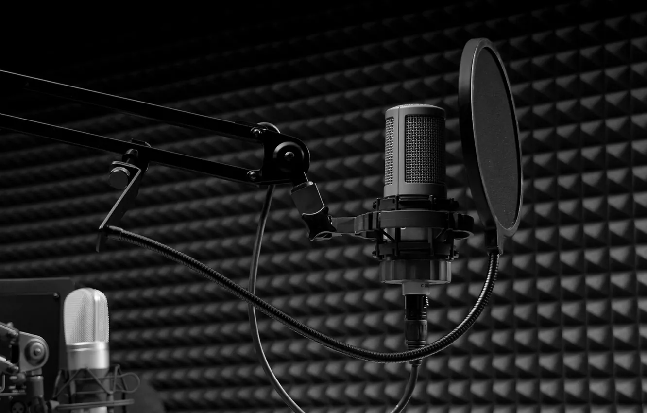 Photo wallpaper microphone, Studio, Pop Filter