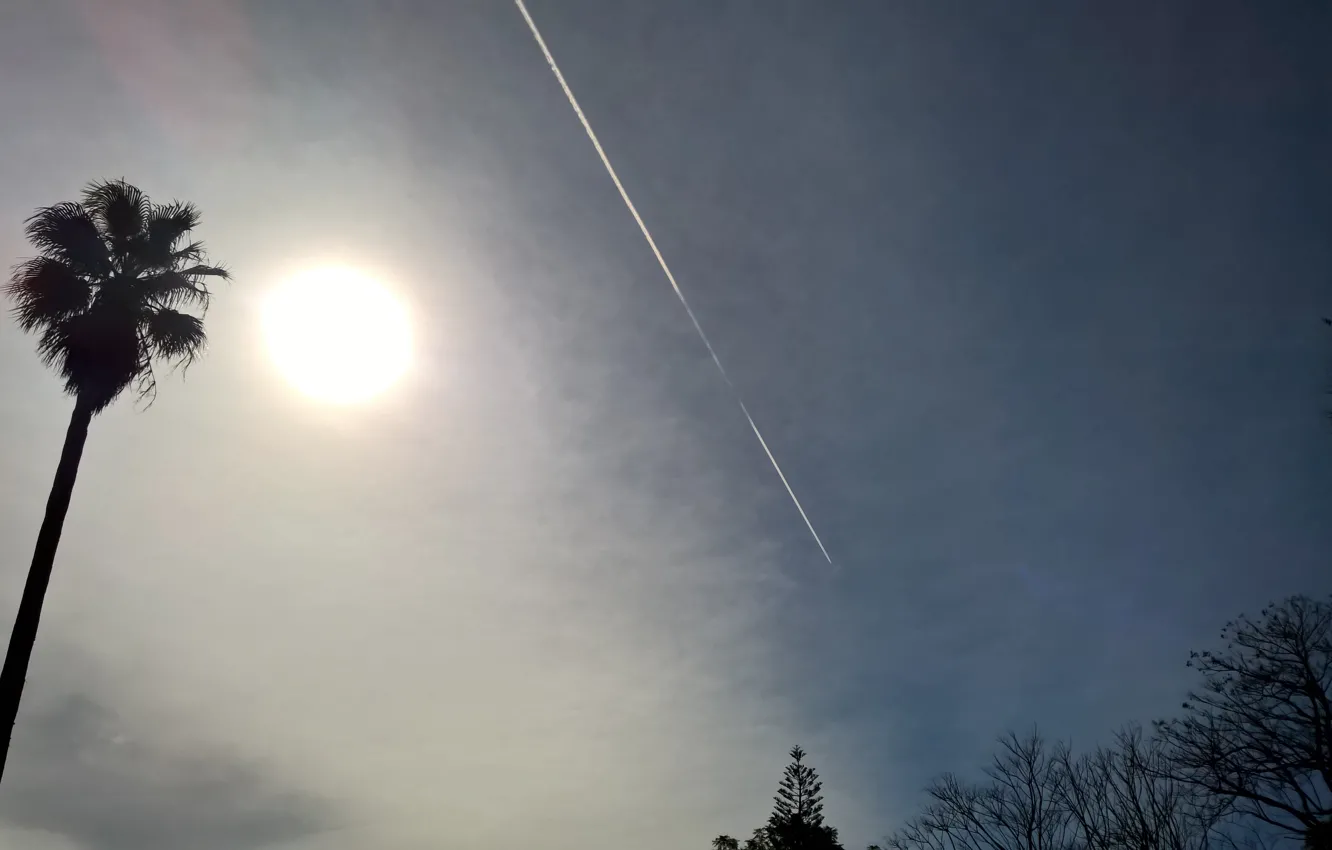 Photo wallpaper summer, sky, trees, nature, blue, clouds, sun, airplane