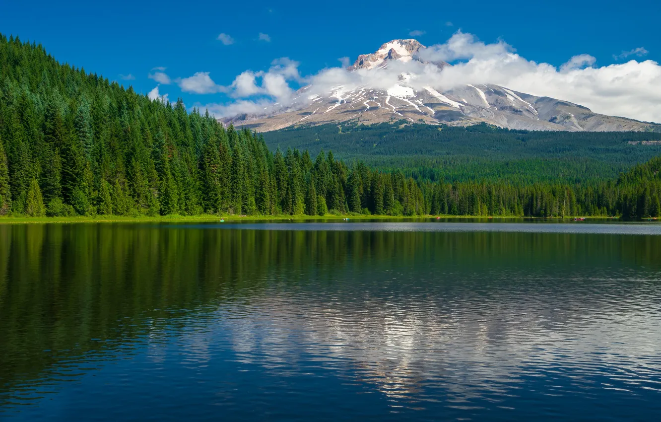 Photo wallpaper forest, clouds, lake, mountain, Oregon, Oregon, Trillium Lake, Mount Hood