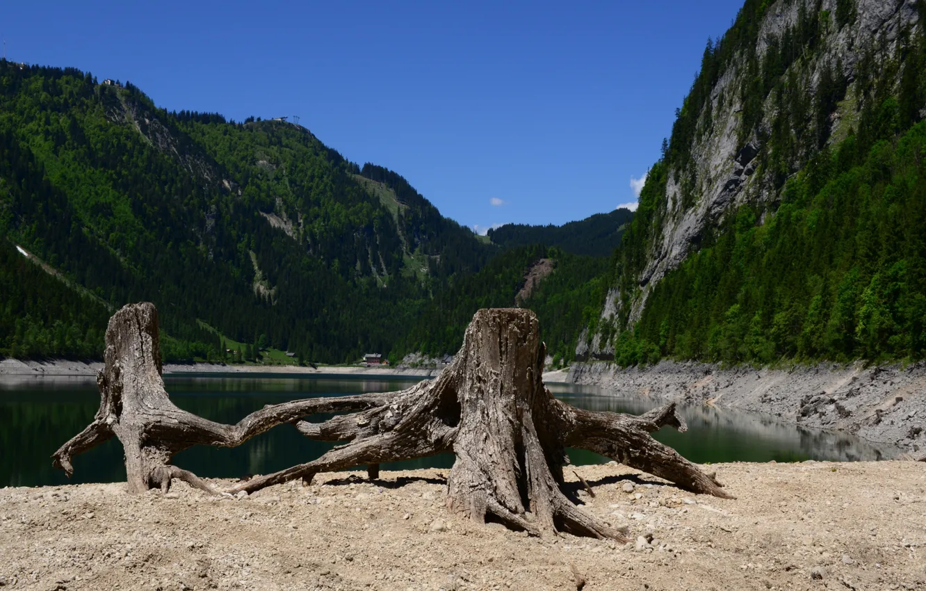 Photo wallpaper summer, nature, lake, tree, Austria, Gosausee, Gosau Lake