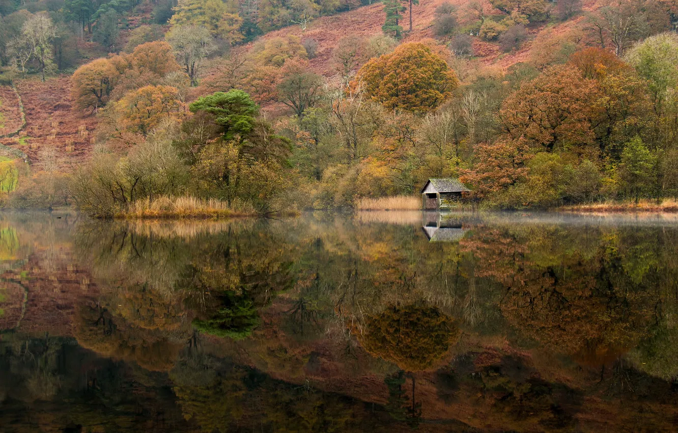 Photo wallpaper trees, lake, surface, reflection, hills, slope