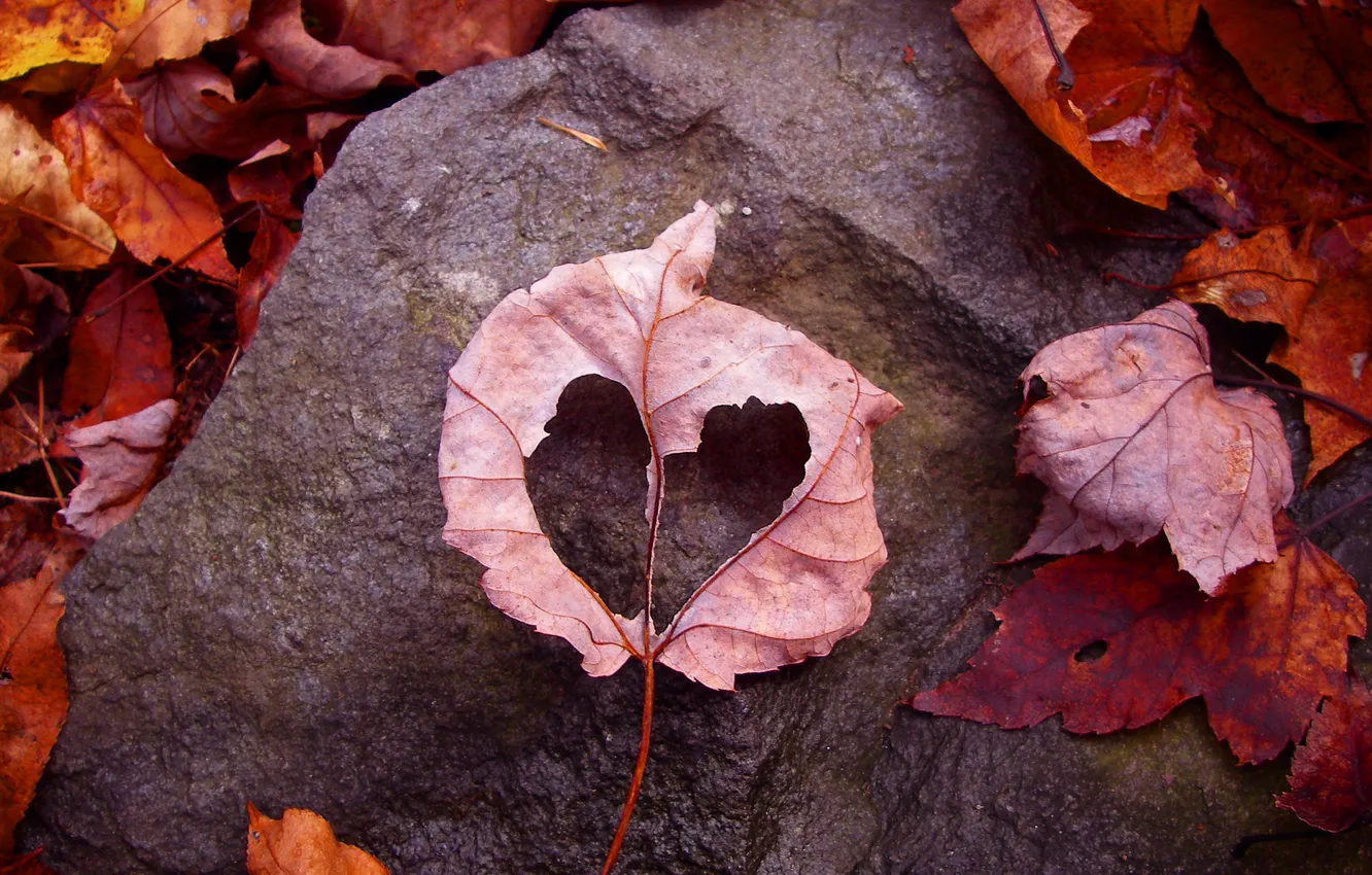 Photo wallpaper autumn, leaves, love, sheet, earth, stone, frame, love