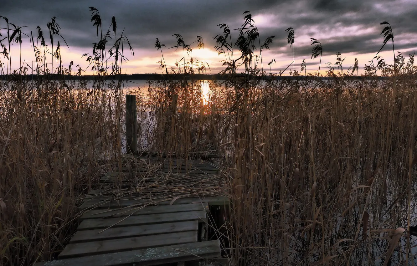 Photo wallpaper bridge, lake, reed