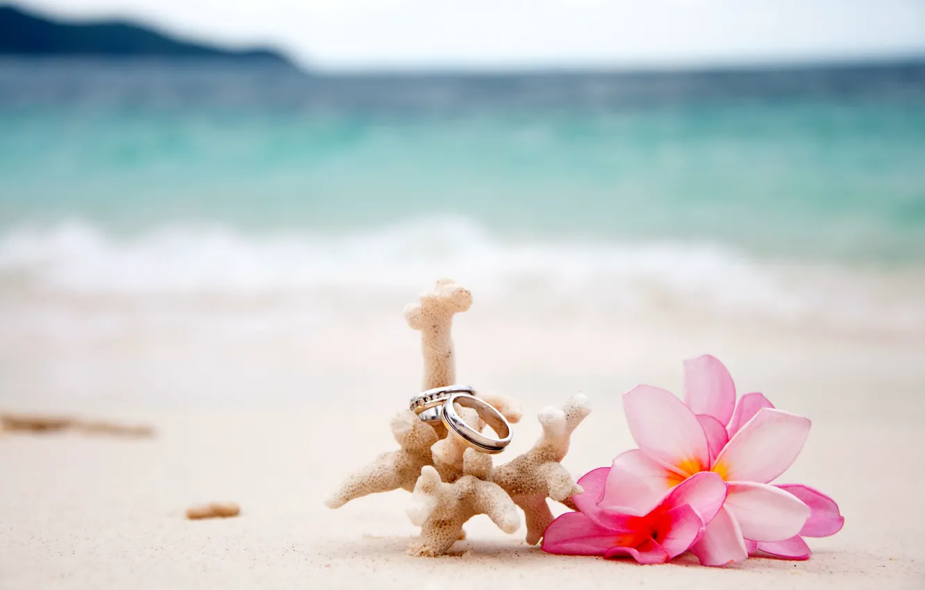 Photo wallpaper beach, flowers, sand, wedding, rings, coral, plumeria