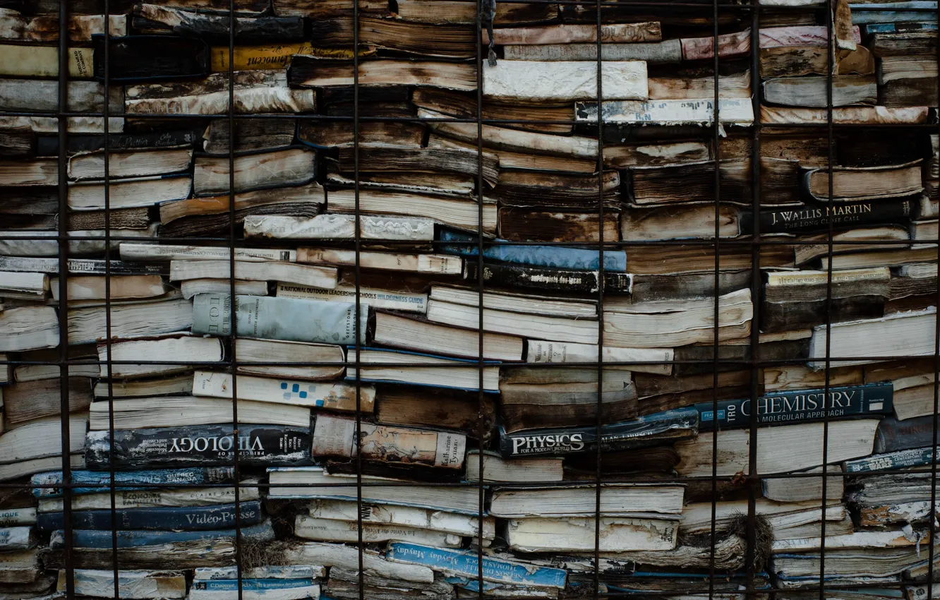 Photo wallpaper art, books, Culture, Thomas Ho