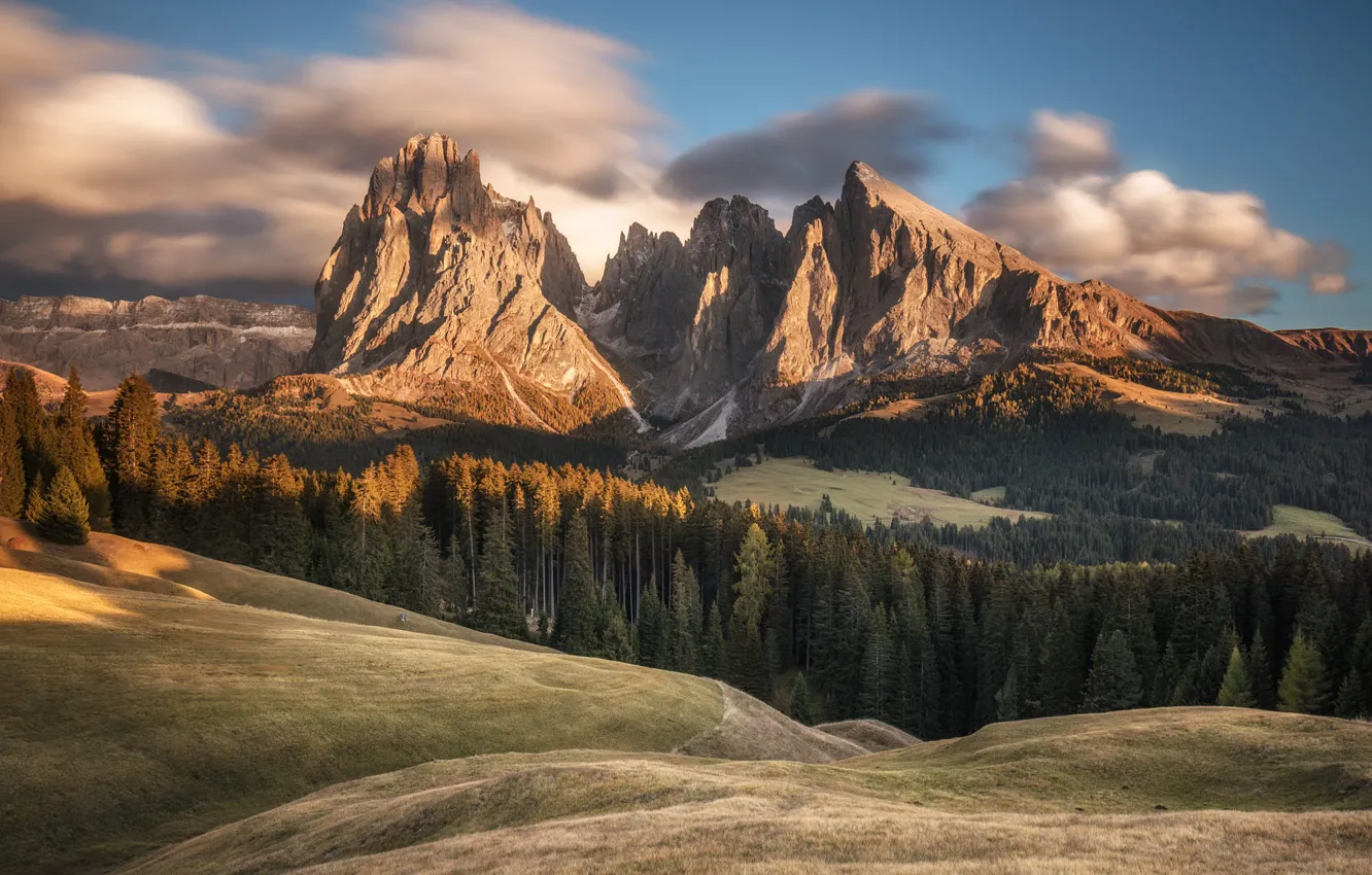 Photo wallpaper forest, mountains, the slopes, Alps, The Dolomites