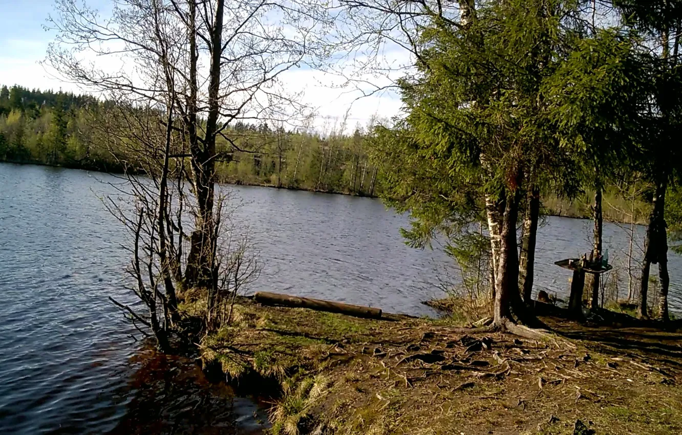 Photo wallpaper summer, nature, lake