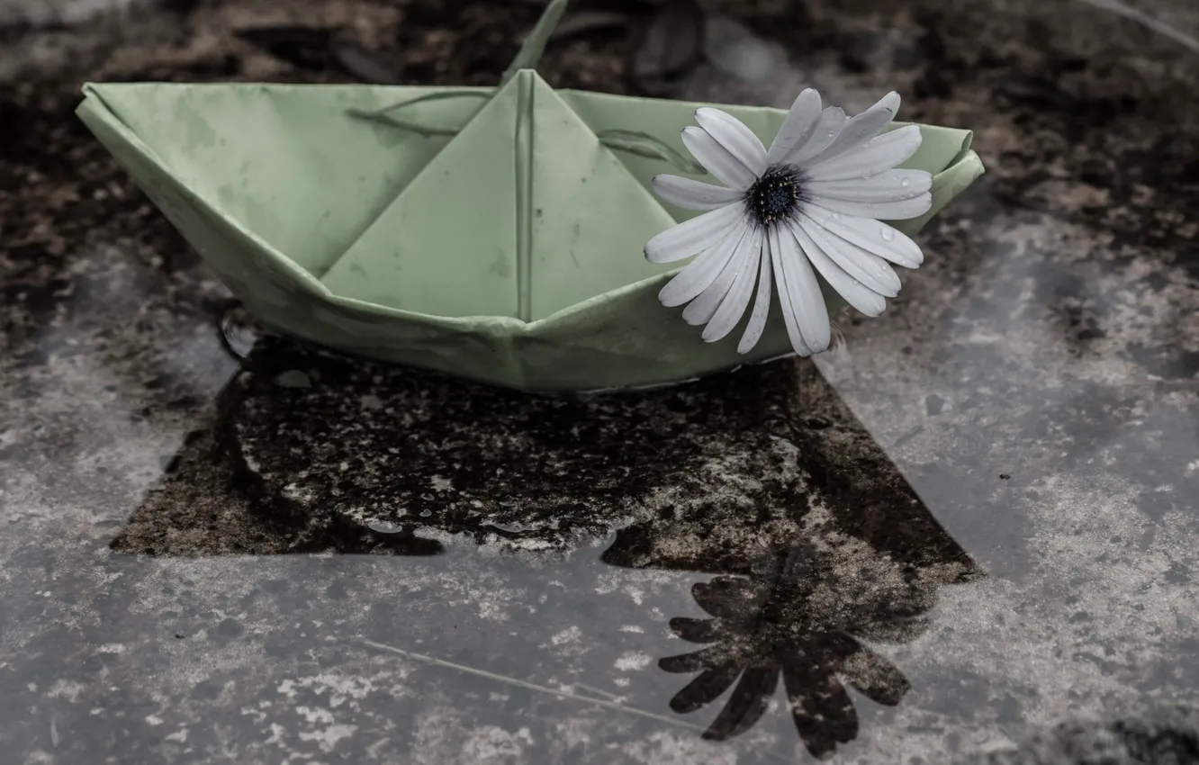 Photo wallpaper mood, chamomile, paper boat