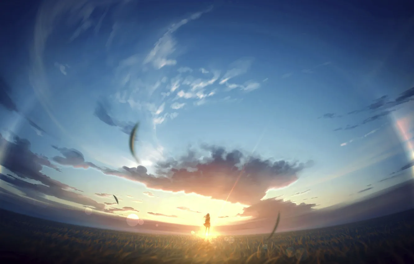 Photo wallpaper field, girl, the sun, morning