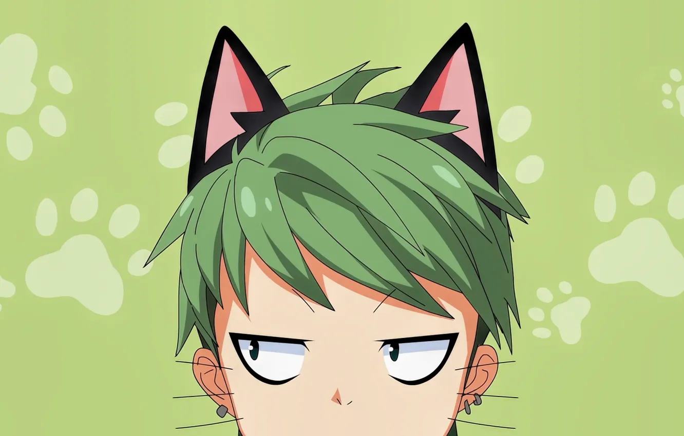 Photo wallpaper green, anime, cat, boy, face, manga, head, japanese