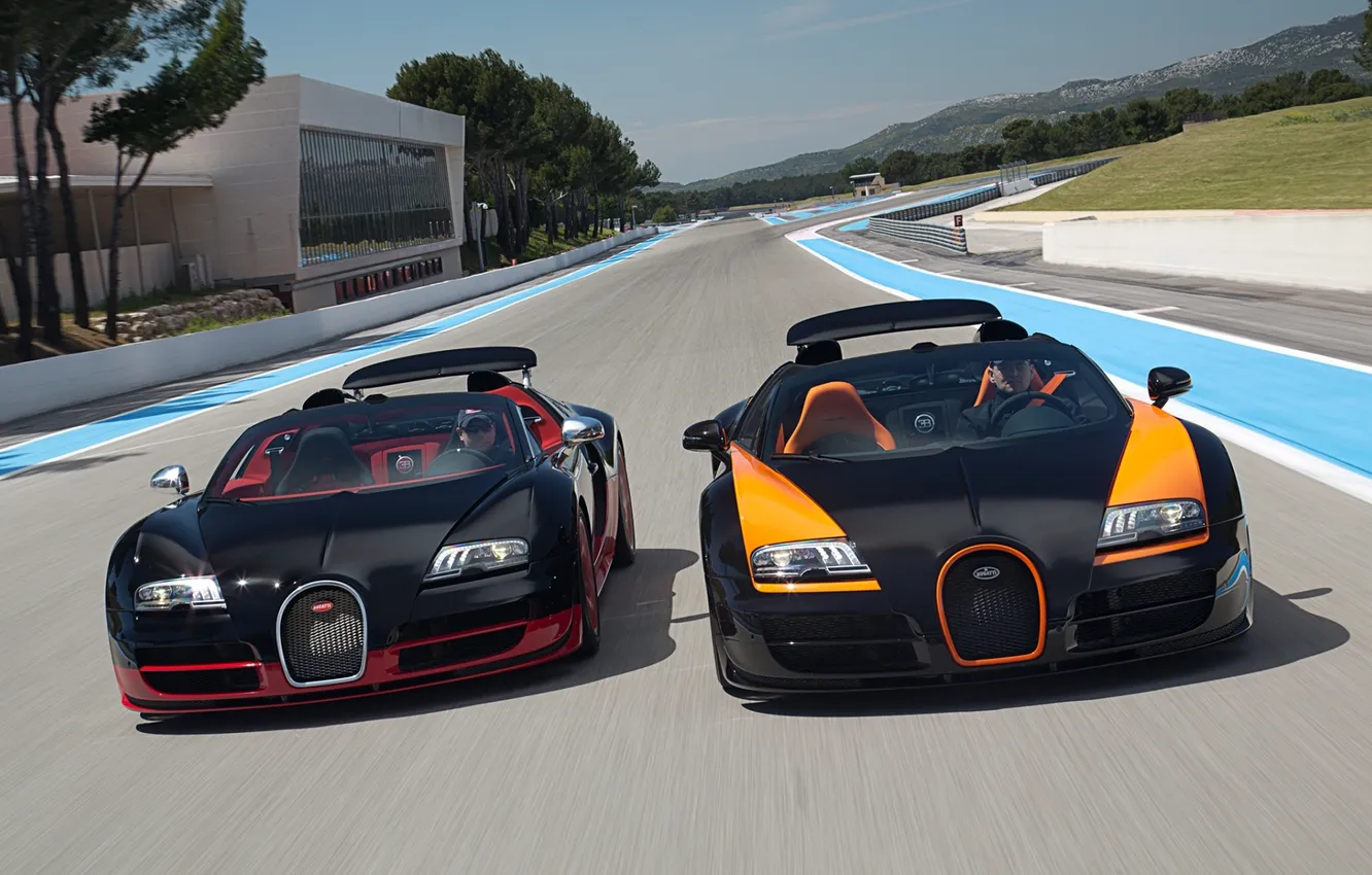 Photo wallpaper Roadster, Bugatti, Bugatti, Veyron, Veyron, supercar, the front, and