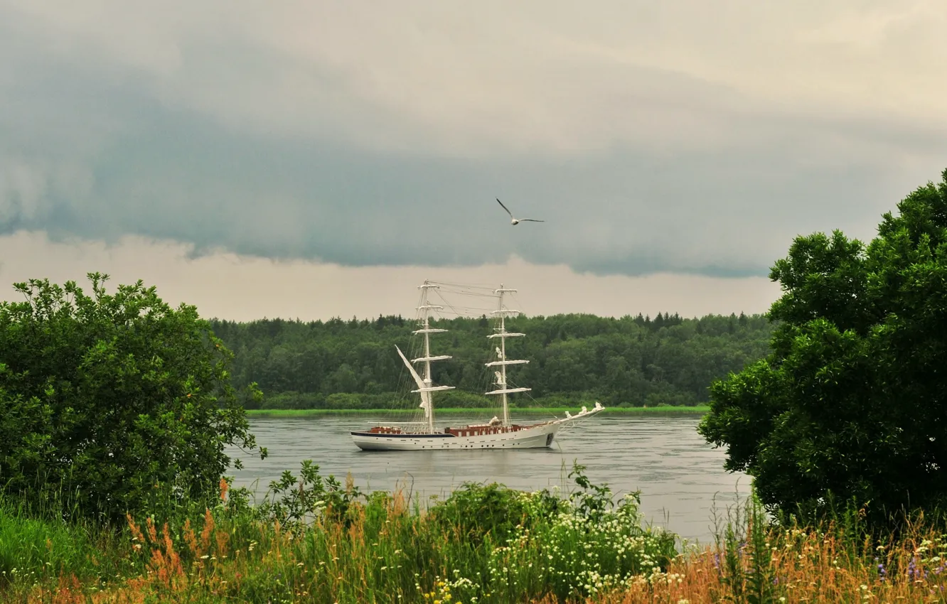 Photo wallpaper water, shore, plant, sailboat