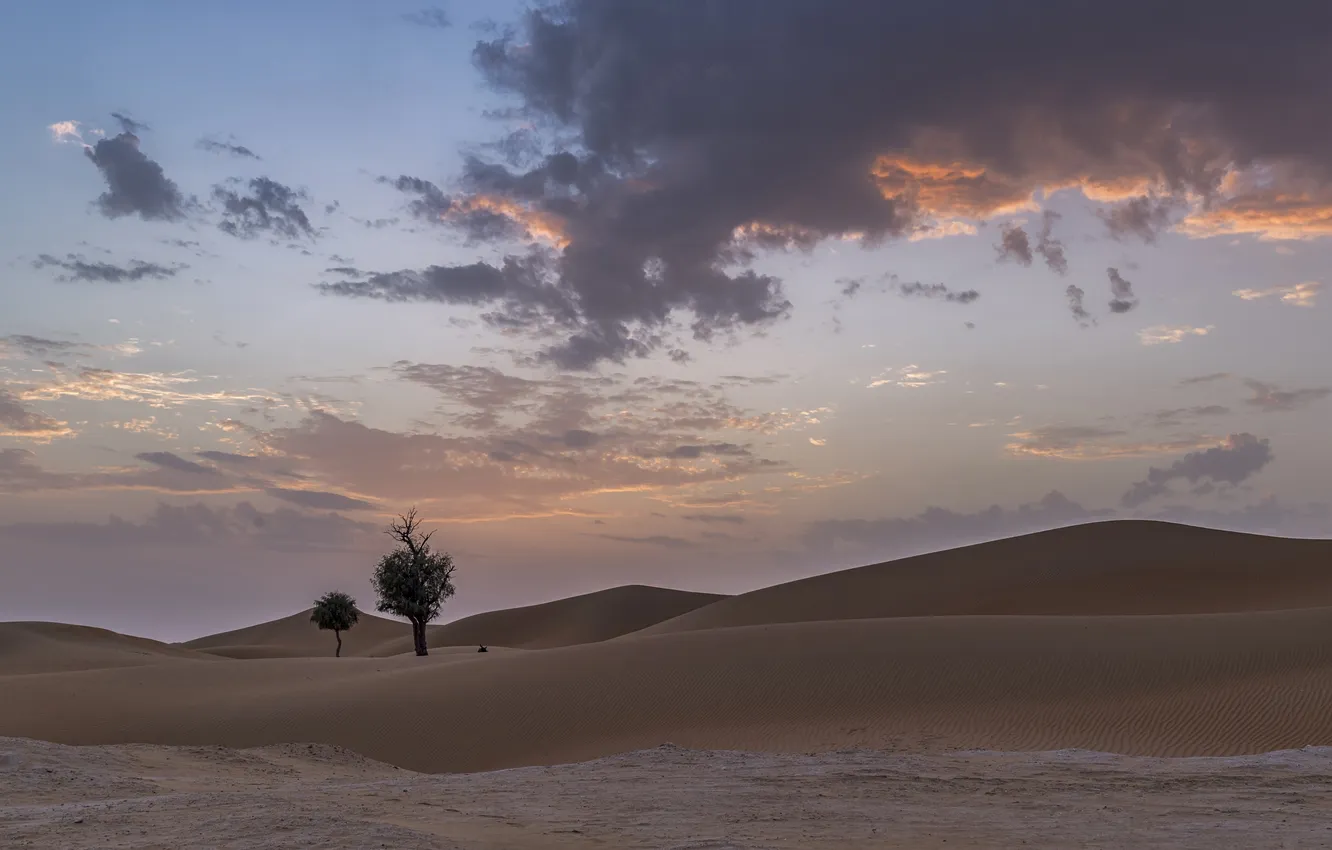 Photo wallpaper sand, the sky, clouds, trees, desert, dunes