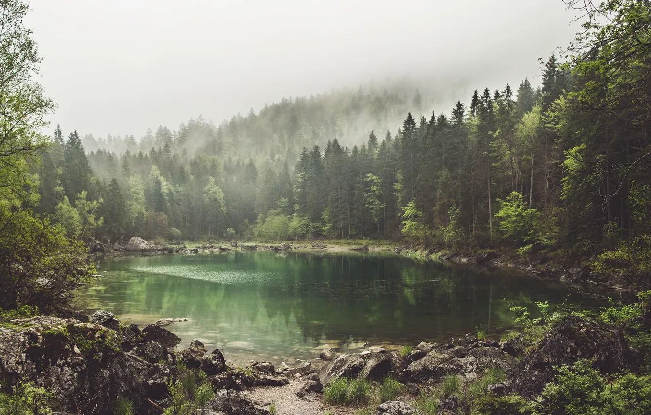 Photo wallpaper stones, lake, Germany, forest, fog, trees, Eibsee