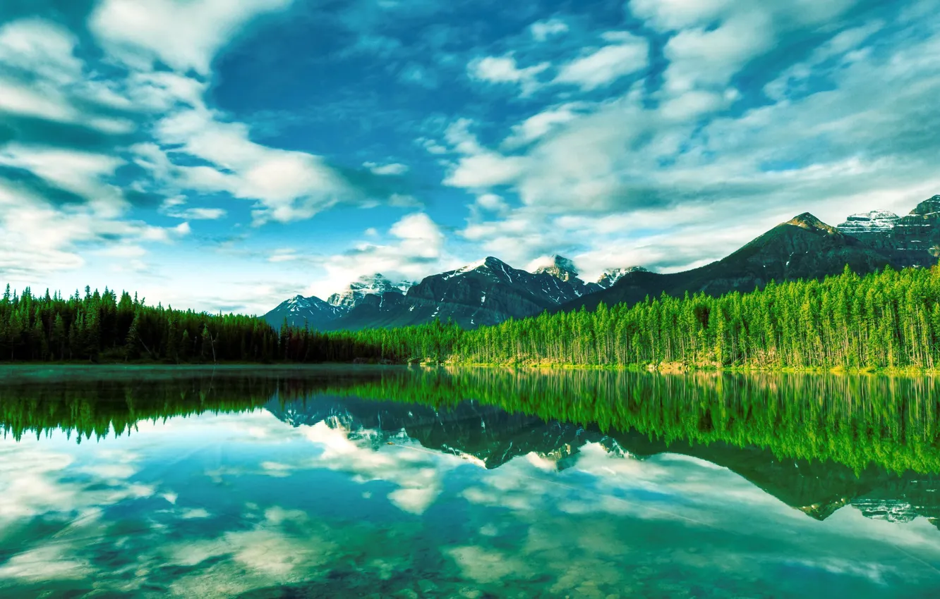 Photo wallpaper forest, the sky, water, mountains, lake, reflection