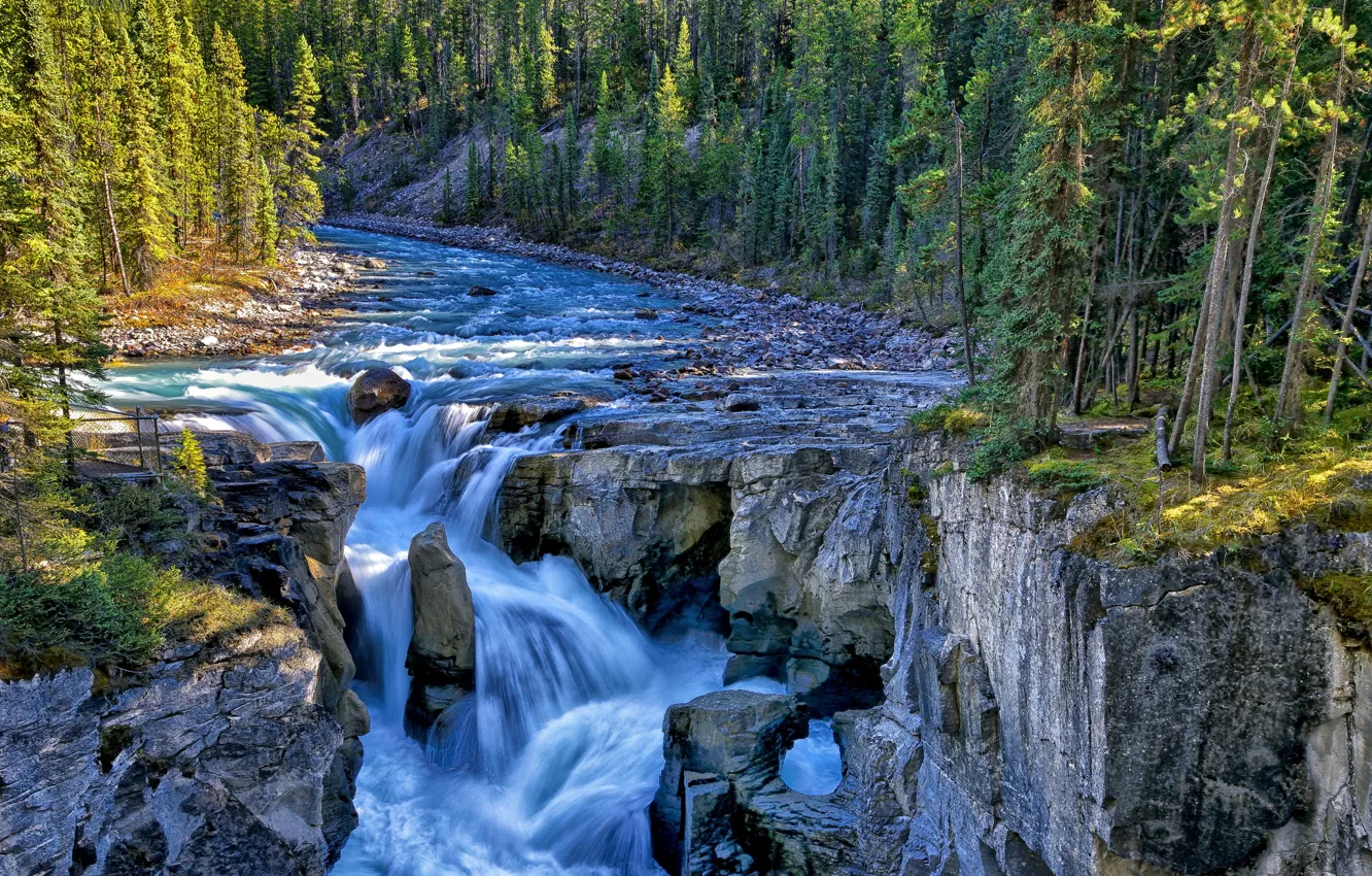 Photo wallpaper forest, trees, river, rocks, waterfall, Canada, Canada, Jasper National Park