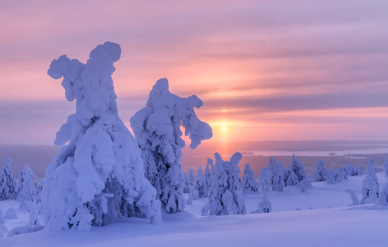 Photo wallpaper winter, snow, trees, landscape, nature, morning, ate, Finland