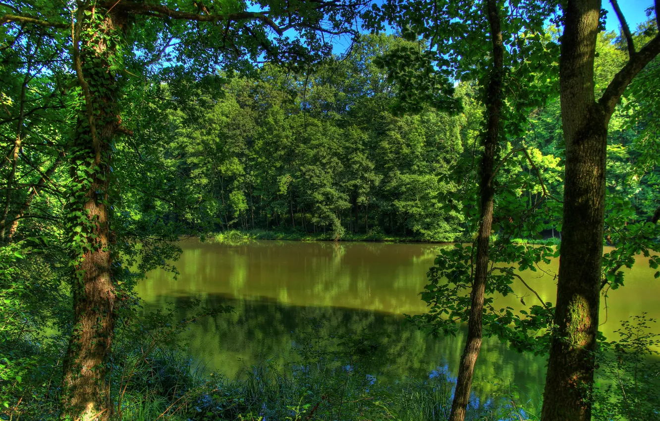 Photo wallpaper the sky, trees, river, Germany