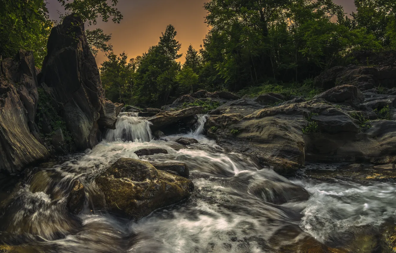 Photo wallpaper trees, river, stones, France, river, France, Corsica, Corsica