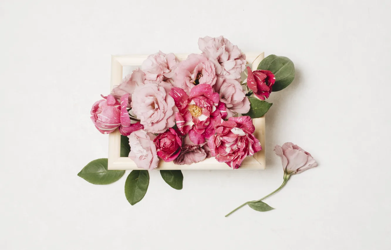 Photo wallpaper flowers, eustoma, composition, flower