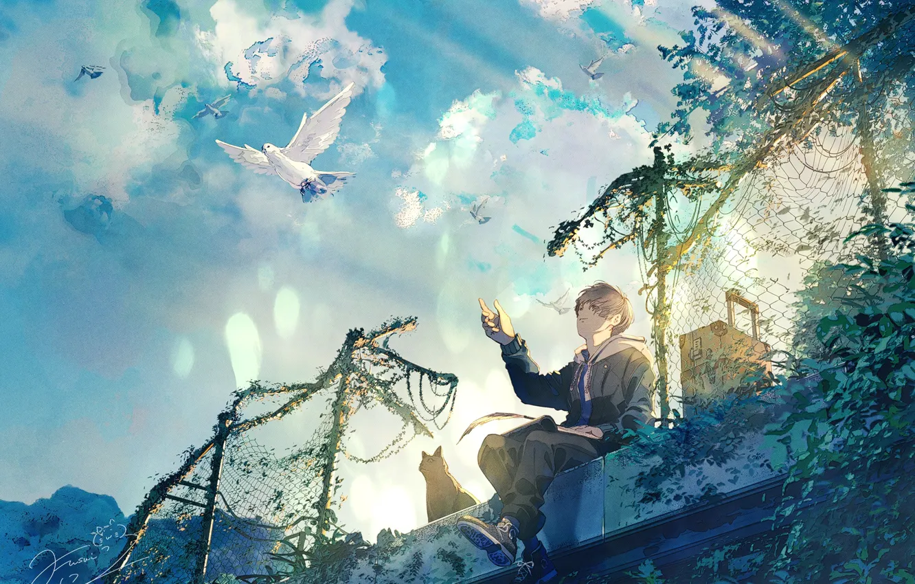 Photo wallpaper cat, the sky, clouds, animal, bird, boy, pigeons, items
