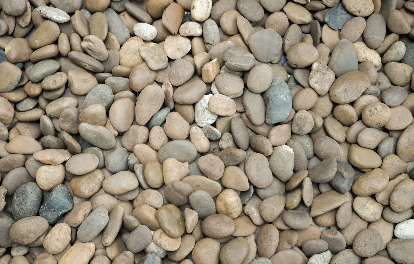 Photo wallpaper beach, pebbles, stones, background, beach, texture, background, sea