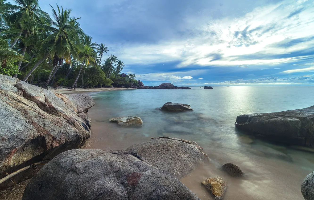 Photo wallpaper sea, beach, summer, nature, tropics, palm trees